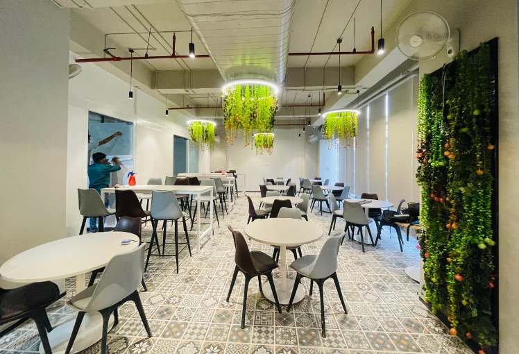 Café interior with living green wall